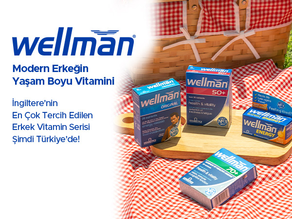 Wellman-Lansman-Banner-600x450