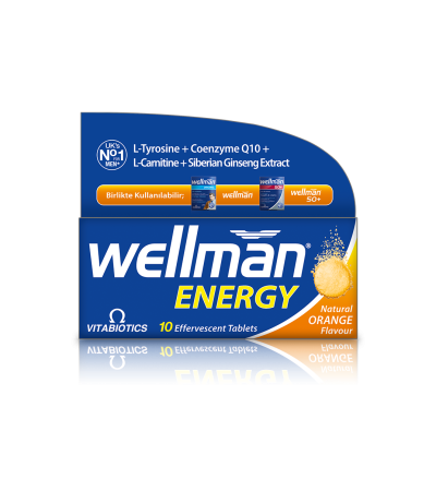 wellman-energy